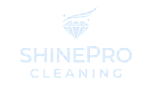 Sparkle Wash Pros